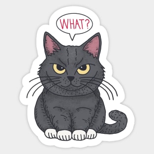 Black Cat Says What Sticker